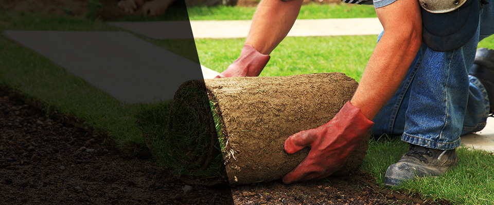 Palmerton Landscapers